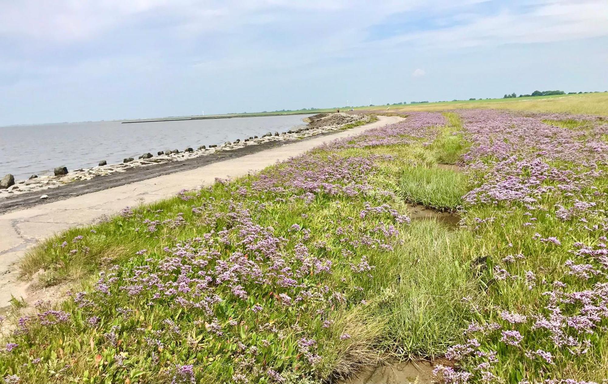 Haus Meerauszeit - Erholung An Der Nordsee Schweiburg Exteriör bild